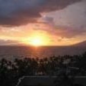 Meet your Posher, Rina